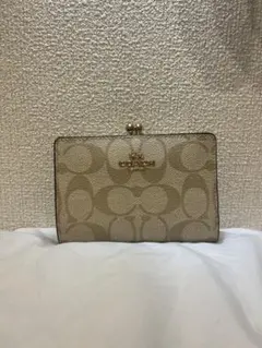 Item thumbnail for item 82cc92f4-6c0d-4f07-980d-7ac910ee9e3e