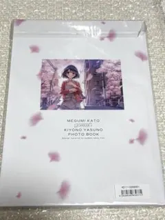 Megumi Works 1 河野恵美 原画集 - メルカリ