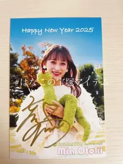 Item thumbnail for item 52ff000c-c946-46ad-962e-834adff22394