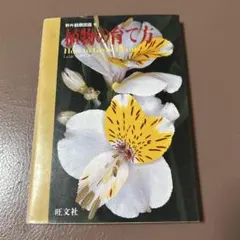 Item thumbnail for item 2be489bf-f99f-4d24-aac5-ff4f2a0fa5bd