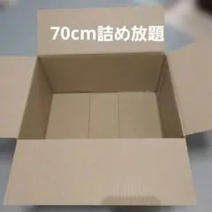 ★出品明日9時迄★60size詰め放題
