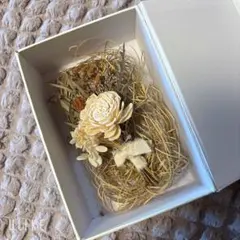 ドライフラワー 新郎ブートニア 箱入り