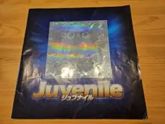 【貴重】映画　ジュブナイル　パンフレット　Juvenile