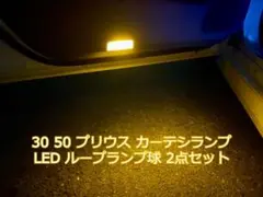 カーテシランプ ライト