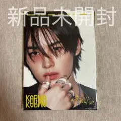Stray Kids KARMA アコーディオン版 アルバム 未開封 リノ