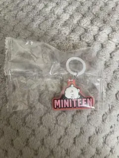 SEVENTEEN めじるしアクセサリー ウジ