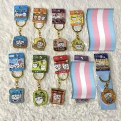 ご当地ダイカットキーホルダー　ハチワレ