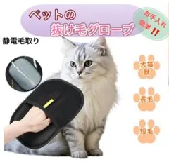 Item thumbnail for item 4c78e6f2-1c99-4bcf-a646-3e581bb067c7