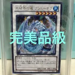 最安値 完美品級 ARS9 遊戯王 氷結界の龍 ブリューナク シークレット