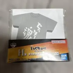 一番くじ ハイキュー!! 烏野の未来 H賞 ダイカットメモ