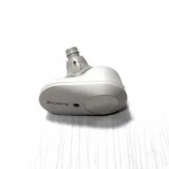 2026年最新】ソニーワイヤレスイヤホン wf1000xm3の人気アイテム