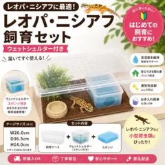 レオパードゲッコー ニシアフ 飼育ケージセット - メルカリ