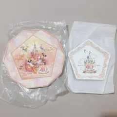 【新品未使用】ディズニーランド 40周年 スーベニア プレートのサムネイル