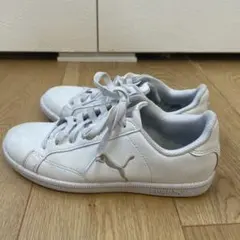 PUMA プーマ スマッシュ キャット L スニーカー　ホワイト22.5cm
