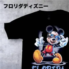 美品✨️Disney ミッキーマウス FLORIDA Tシャツ US古着のサムネイル