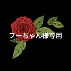 フーちゃん様 リクエスト 2点 まとめ商品
