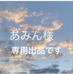 あみん様専用！ SUN VALLEY など2点