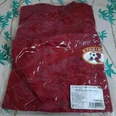 REGGINA レプリカ風Tシャツ Lサイズ 中村、１０番のサムネイル