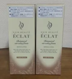 【新品】ヘアボーテ エクラ ボタニカル エアカラーフォーム EX ライトブラウンのサムネイル