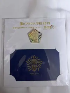 嵐のワクワク学校 2019 ピンバッジ