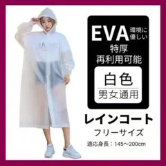 Item thumbnail for item 4374eaa9-c32c-4a7f-887b-df7f72b85092