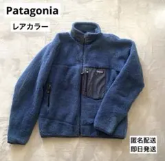 patagonia パタゴニア レトロX カーディガン　Sサイズ　レアカラー