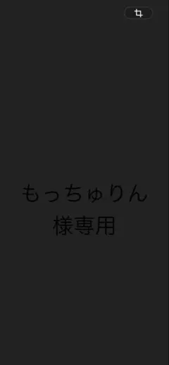 もっちゅりん 様専用