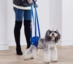 Item thumbnail for item 5b084e40-b2f9-4dbe-b48f-12027e7ee683