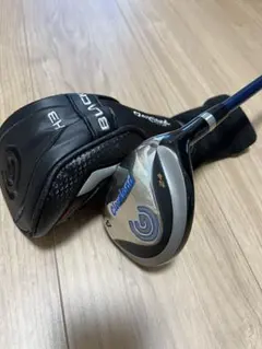 Item thumbnail for item 45201a92-d217-476e-82c7-fcb3925189c5