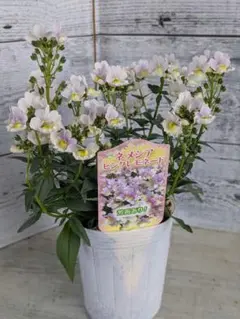 由美さん様 リクエスト 4点 まとめ商品