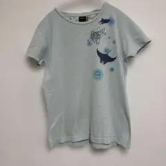 Habu Box 半袖Tシャツ シーサー マンタ ライトブルーのサムネイル