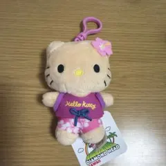 ハワイ ダイヤモンドヘッド 限定 日焼けキティー