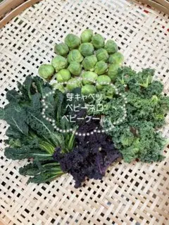 ひろ様専用出品