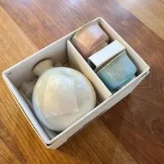 九谷焼 酒器 晩酌揃 銀彩