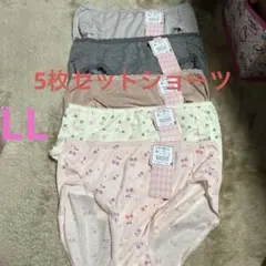 ❤️レディースカジュアルショーツ 5枚セット LL新品タグ付き❤️