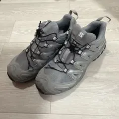 2026年最新】SALOMON xa pro 3d グレーの人気アイテム - メルカリ