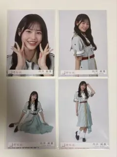 乃木坂46 生写真 生田絵梨花 コンプ - メルカリ