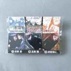 呪術廻戦 第二回人気投票トップ3キャラアクリルバッジ 伏黒恵 五条悟