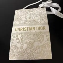 CHRISTIAN DIOR ギフトバッグ