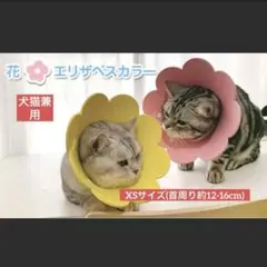 エリザベスカラー 猫犬用 XSソフト着脱便利 傷舐め防止 引っ掻き防止 去勢手術