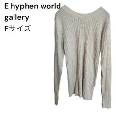 E hyphen world gallery ニットカットソー　オフホワイト