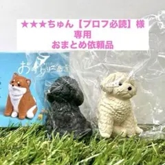 ★★★ちゅん【プロフ必読】様 リクエスト 2点 まとめ商品