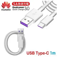 Item thumbnail for item 78e968de-ca5e-464c-89e5-2d39f737c7ea