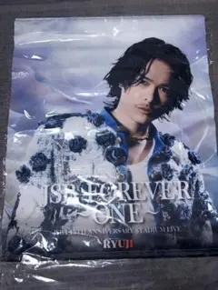 三代目JSB 味の素スタジアム 会場ガチャ 隆二 クッション - メルカリ