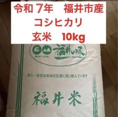 さっぱりツヤツヤ 令和7年度兵庫県産キヌヒカリ 冷めても甘い 農家直送