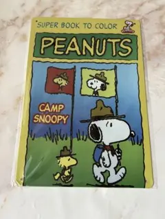 ブリキ看板 PEANUTS CAMP SNOOPY インテリア雑貨