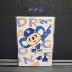 カルビープロ野球チップス2025 中日 ドアラ