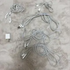 LightningケーブルとイヤフォンセットとUSB充電器のセット