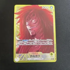 【当日・翌日発送】カルガラ　リーダーパラレル