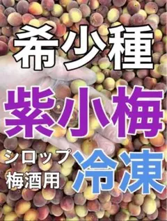 2708❄️クール便「冷凍紫小梅」1kg 青梅系　梅酒　シロップ用(梅干し不可)のサムネイル